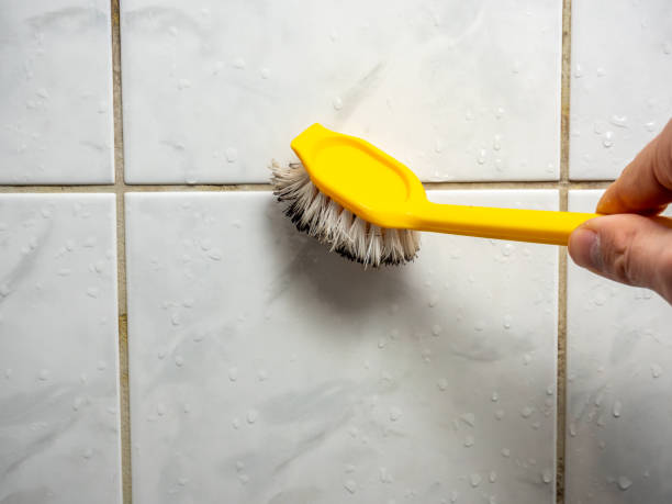 Reliable Hilliard, FL Mold Removal Solutions